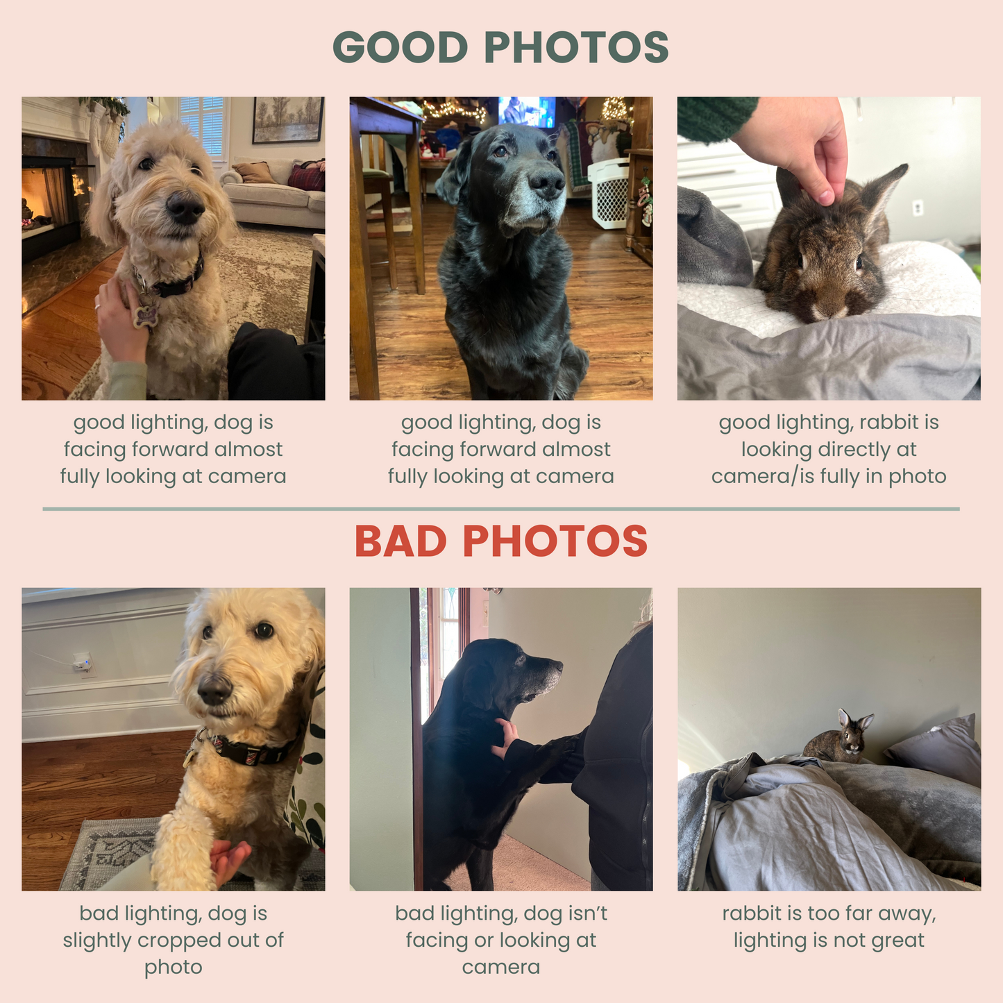 Custom Pet Portrait Membroidered Dad Hat